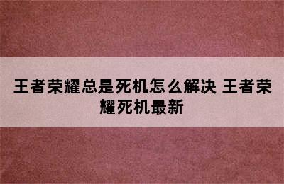 王者荣耀总是死机怎么解决 王者荣耀死机最新